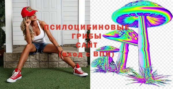стафф Бородино