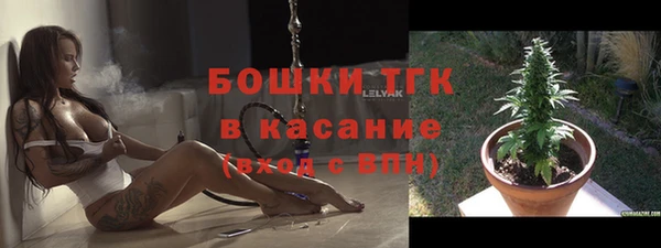 стафф Бородино
