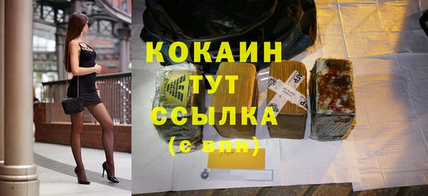 стафф Бородино